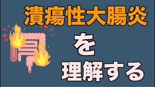 アニメで腸の炎症性疾患潰瘍性大腸炎の発症〜セルフケアまで紹介