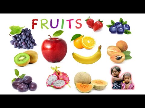 Fruits names in English and Tamil with pictures /பழங்களின் பெயர்கள்(ஆங்கிலம் /தமிழ்)/ Learn fruit