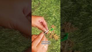 Waste Grapes stem craft ideas 🍇 Best out of waste #storts #ytshorts #craft #viral