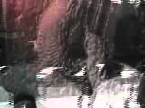 Secrets of the Serpent
