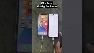 iOS To Galaxy WhatsApp Chat Transfer 🔥🔥🔥 #shorts