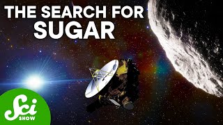 A Sugar-Coated Asteroid May Have Made All Life Possible