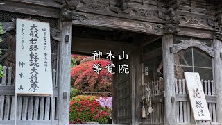 【神木山等覚院】川崎市宮前区のつつじ寺