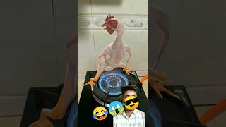 😂😂😂#shortsfeed #funny #inderr #unfrezzmyaccount #birds #pets #trending #trandingsong#song#funny