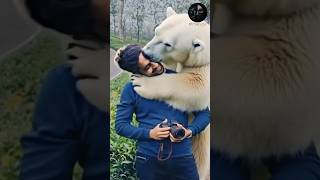 Unexpectedly Friendly AI Polar Bear! 😲🐻‍❄️🤖