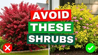😱 5 Small Garden Shrubs You Should AVOID—What to Plant Instead!