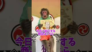 チョロ松ファッションショー👔&初めての食リポ🍴