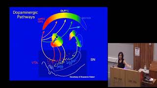 The paradoxes of dopamine dysfunction in schizophrenia
