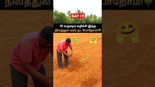 Day 19 | 🌱 15 வருஷம் கழிச்சி 4 Acre தோட்டத்துல மரம் நட்டாச்சு🌳 #kpfarmventures #planttree #day19