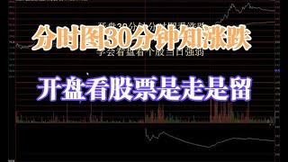 股票當日是走是留！30分鐘分時圖告訴你！學會開盤知漲跌！