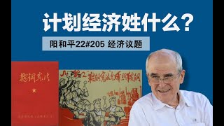 阳和平：计划经济姓什么？