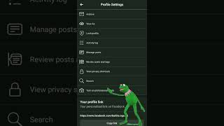 Facebook Professional Mode Missing and Not Showing? No Problem