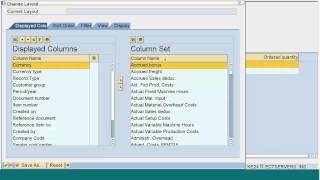 SAP COPA Planning Part2