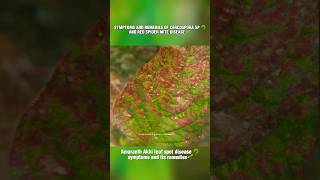#stem #amaranth #technokids #scienceproject #makerkids #kidstech #tinkerers#agriculture #shortvideo