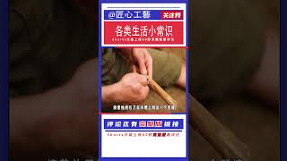 男子在原始森林用原始技术独自搭建木屋,从原始时代开始生存.03 #创意改造