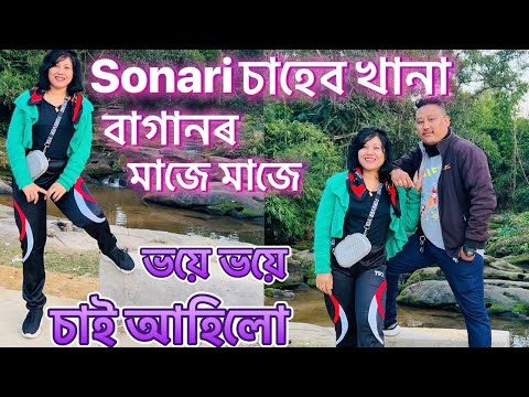 Singlo Napuk tea estate #Sonari #চাহেব খানা খুউব সুন্দৰ ঠাই, সোনাৰি টাউনৰ একেবাৰে ওচৰতে