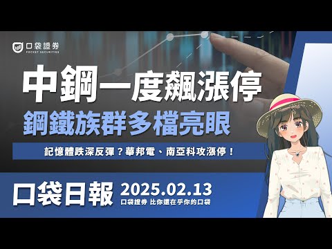中鋼(2002)一度漲停！鋼鐵族群亮眼，記憶體跌深反彈？華邦電、南亞科攻漲停！ | 口袋日報 | 2025.02.13