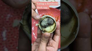 Eating a fertilized duck egg | balut egg | 🥚🥚