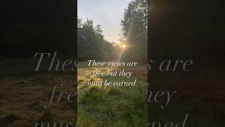 Escapes In The LandScapes. #escapesinthelandscape#newforest #peacefulplace #nature  #tranquilspaces