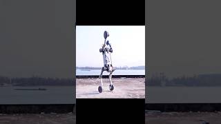 The Most Advanced Quadruped Robot Yet! Unitree B2-W #unitreeb2w #robotics #technology #future #robo