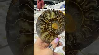 #surreybc #rockngem This video contains music from Shutterstock, licensed by Splice.