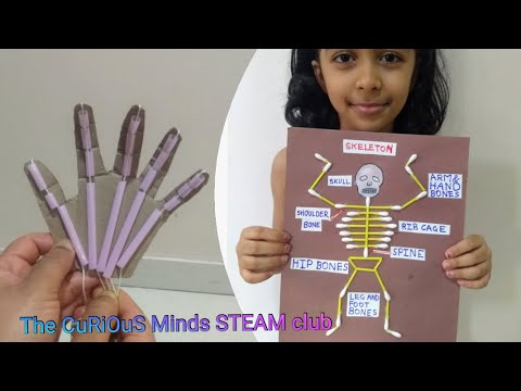 Bones and Muscles Activities | Science at Home | Human Body