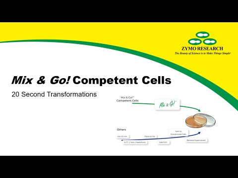 Protocol | Mix & Go Competent Cells