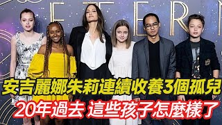 安吉麗娜朱莉連續收養3個孤兒，曾因柬埔寨兒子與丈夫離婚，6個孩子視如己出，20年過去，這些孩子怎麼樣了#孤兒 #愛心 #正能量 #暖心 #跨國家庭 #領養 #棄嬰 #幸福人生 #分享 #溫暖