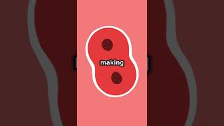 Cell Cycle Overview: Mitosis vs Meiosis #facts #knowledge #biology #cell #shorts #shortsvideo