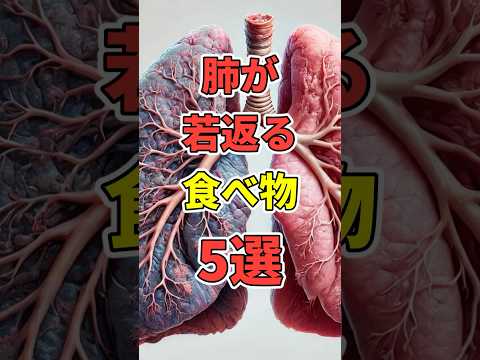 肺を若返らせる超意外な食べ物５選！【最新研究】　#肺がん#shorts