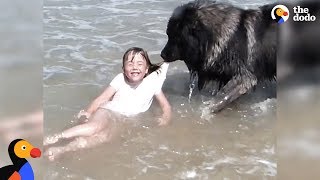 Dog 'Saves' His Little Girl From The Ocean | The Dodo