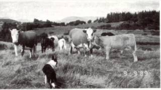 Irish Folk Belief
