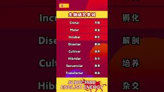 🇪🇸零基础学西班牙语 | 学会高频西语单词 | 西班牙语常用单词必备🎯#高频西班牙语口语 #基础西班牙语单词 #日常西班牙语 #零基礎學西班牙語 #學習西班牙語 #LearnSpanish