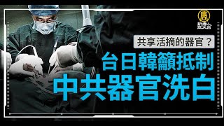 共享活摘的器官？台日韓籲抵制中共器官洗白
