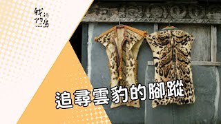 【絕種動物？】 追尋雲豹的腳蹤｜活在原住民傳說裡的大貓 (我們的島 第250集 2004-04-19)