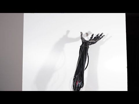 Clone Hand with Artificial Muscles, Range of Motion, August 2022