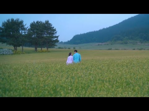 Playlist 여름을 한 문장으로 표현한다면