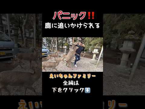 [Horror] Brother and sister run away from a deer for the first time! Panic! Is dad okay? #shorts ...