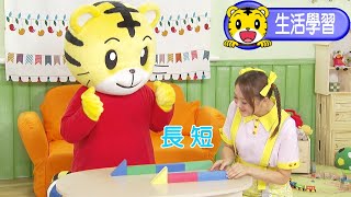 巧虎【知識小補帖】長短  #育兒 #親子生活 #動畫 #卡通