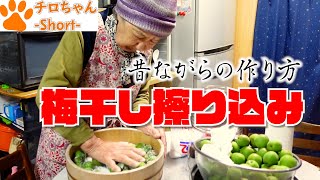 ばあちゃんの料理 ばあちゃん流 梅干し作り。下処理編。４K＃shorts