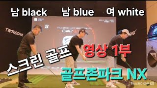 스크린골프 영상1부  골프존파크 NX