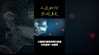 你的腦袋裡，藏著模仿他人的秘密！#共情力 #鏡像神經元 #腦科學 #心理學 #神經科學 #感同身受