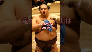 元大関・雅山が二子山部屋を設立するために行ったこと