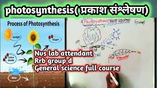 Rajasthan lab attendant #ssc  photosynthesis process #photosynthesis #general_science #rrb