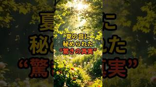 夏の音に秘められた“驚きの真実”