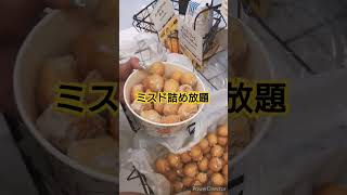 ミスタードーナツ詰め放題 #ミスド #ミスタードーナツ #ドーナツ #詰め放題 #食べ放題 #スイーツ