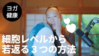 【アンチエイジング ヨガ】細胞レベルから若返る３つの方法