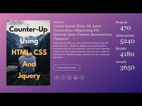 Counter-Up Animation Using HTML, CSS & jQuery | THE WEBFIX