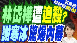 林岱樺遭「鏡檢」追殺有內幕?謝寒冰:擺明要弄死她｜林岱樺遭追殺 謝寒冰驚爆內幕｜蔡正元.帥化民.謝寒冰深度剖析【張雅婷辣晚報】精華版 @中天新聞CtiNews