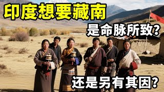 印度为何这么想要藏南，是命脉所致，还是另有其因？【地球记】#地球记 #地理 #科普 #领土
